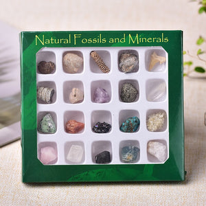 1set Natural Rock Mineral Specimen irregularity Raw Crystals Souvenir mini Mineral Stone Collection Ornament Gifts for Children