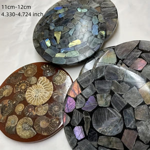 Energize and Beautify Any Room with Ammonite Fossil Decor – The Perfect Indoor/Outdoor Gift for Meditation, Reiki & Special Occasions