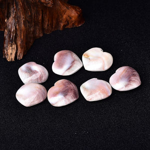 Natural Heart Shaped Fossil Sun Shell Mineral Specimen Collection Home Decoration Reiki Ornaments Souvenir Healing DIY Gift