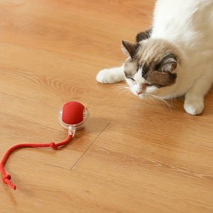 USB Charging Interactive Cat Toy with Long Tail - Suitable for All Breeds, Enhances Observation and Playtime Fun