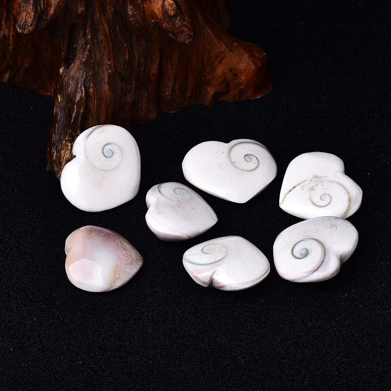 Natural Heart Shaped Fossil Sun Shell Mineral Specimen Collection Home Decoration Reiki Ornaments Souvenir Healing DIY Gift