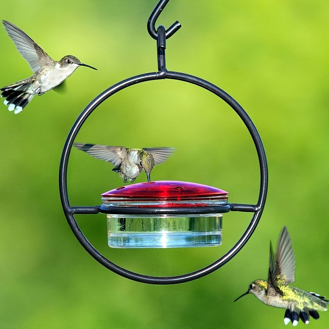 1pc Beautiful Hanging Hummingbird Feeder, Metal Bottle Humming Bird Feeder With Circular Metal Frame And Perch