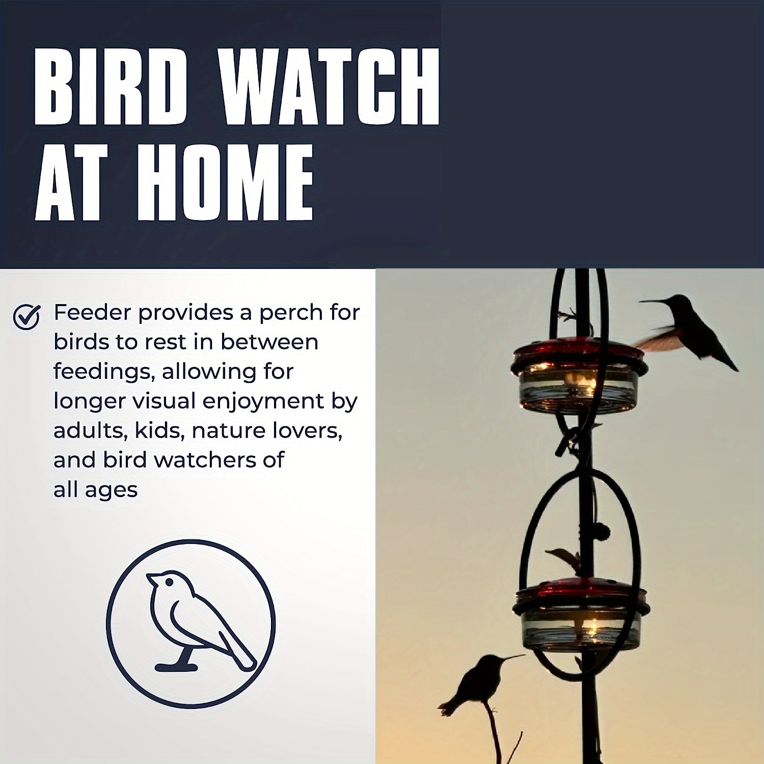 1pc Beautiful Hanging Hummingbird Feeder, Metal Bottle Humming Bird Feeder With Circular Metal Frame And Perch