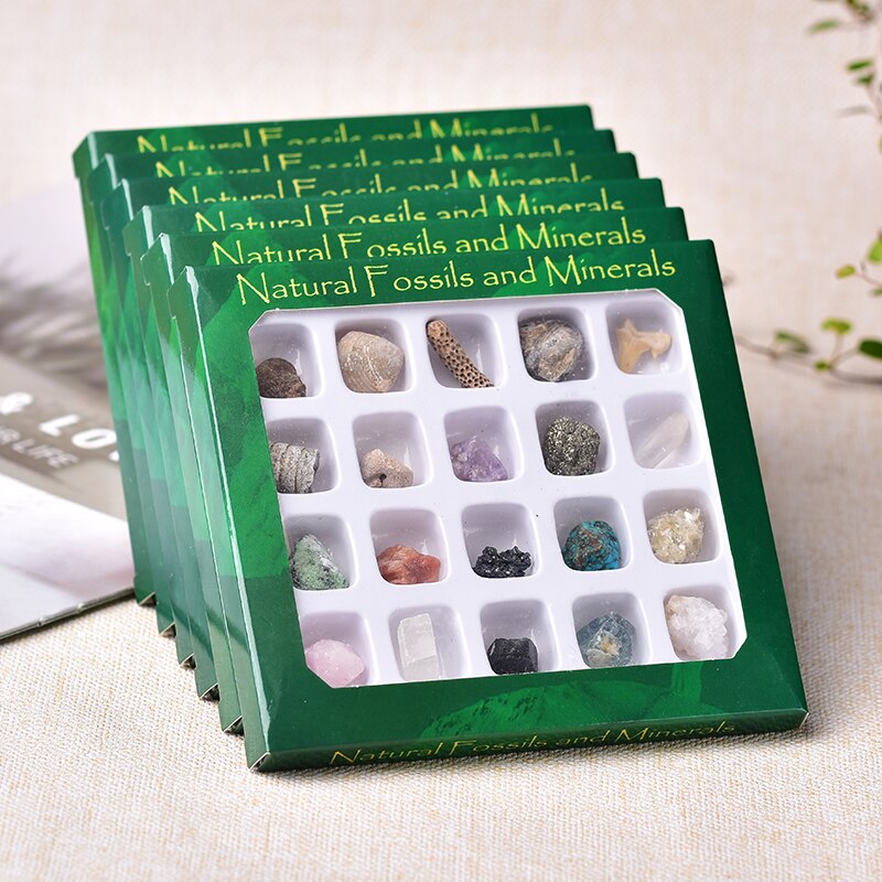 1set Natural Rock Mineral Specimen irregularity Raw Crystals Souvenir mini Mineral Stone Collection Ornament Gifts for Children