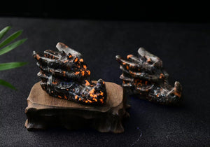 Natural Yooperlite Dragon Skull Sodalite Quartz Hand Carved Healing Crystal Stone 3.1"