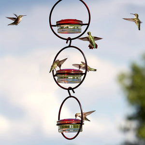 1pc Beautiful Hanging Hummingbird Feeder, Metal Bottle Humming Bird Feeder With Circular Metal Frame And Perch