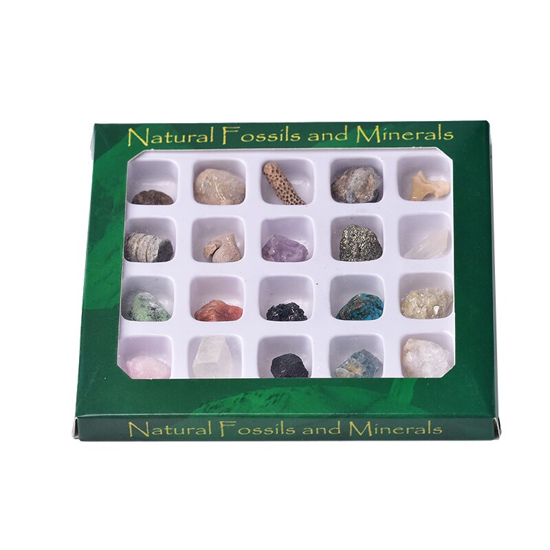 1set Natural Rock Mineral Specimen irregularity Raw Crystals Souvenir mini Mineral Stone Collection Ornament Gifts for Children