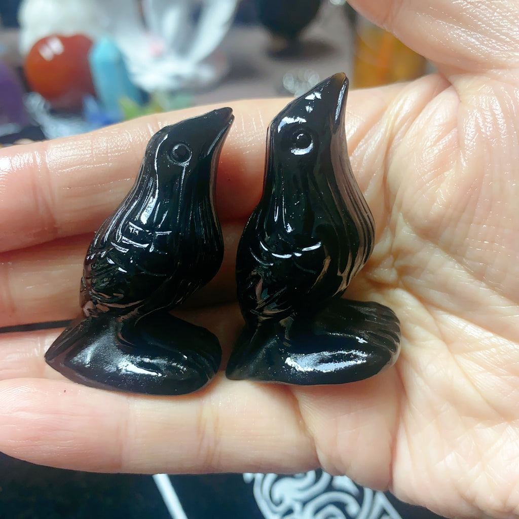 Black obsidian Bird Protection Stone Crystal Animal Crystal Carving Crystal Gift Crystal Healing