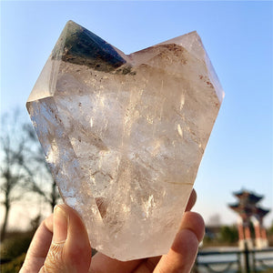 592g High Vibration Natural Crystal with Garden Quartz Soulmate Healing Points