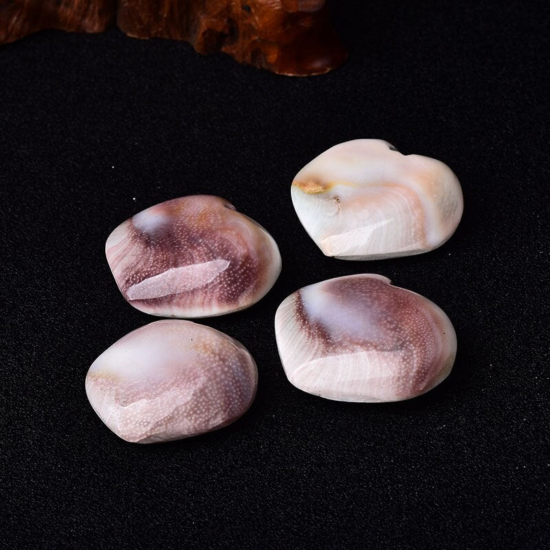 Natural Heart Shaped Fossil Sun Shell Mineral Specimen Collection Home Decoration Reiki Ornaments Souvenir Healing DIY Gift