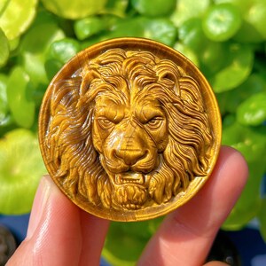 1PC Natural Tiger Eye Jasper Lion,Quartz Crystal Lion,Crystal Carved,Mineral Specimen,Rock,Home Decoration,Reiki Healing,Crystal Gift 40g+