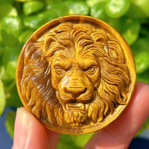 1PC Natural Tiger Eye Jasper Lion,Quartz Crystal Lion,Crystal Carved,Mineral Specimen,Rock,Home Decoration,Reiki Healing,Crystal Gift 40g+