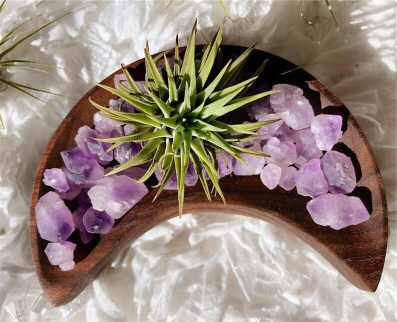 10PC Natural Amethyst specimen，Amethyst gravel，quartz crystal，Amethyst specimen，crystal healing
