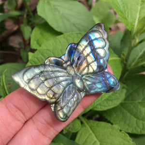 1PC Natural Labradorite Butterfly,Quartz Crystal Butterfly,Crystal Carved,Mineral samples,Home Decoration,Reiki healing,Crystal Gifts 15g+