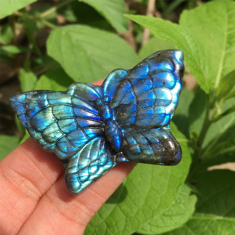 1PC Natural Labradorite Butterfly,Quartz Crystal Butterfly,Crystal Carved,Mineral samples,Home Decoration,Reiki healing,Crystal Gifts 15g+