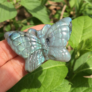 1PC Natural Labradorite Butterfly,Quartz Crystal Butterfly,Crystal Carved,Mineral samples,Home Decoration,Reiki healing,Crystal Gifts 15g+