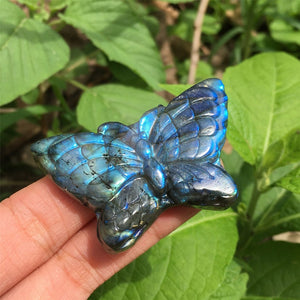 1PC Natural Labradorite Butterfly,Quartz Crystal Butterfly,Crystal Carved,Mineral samples,Home Decoration,Reiki healing,Crystal Gifts 15g+