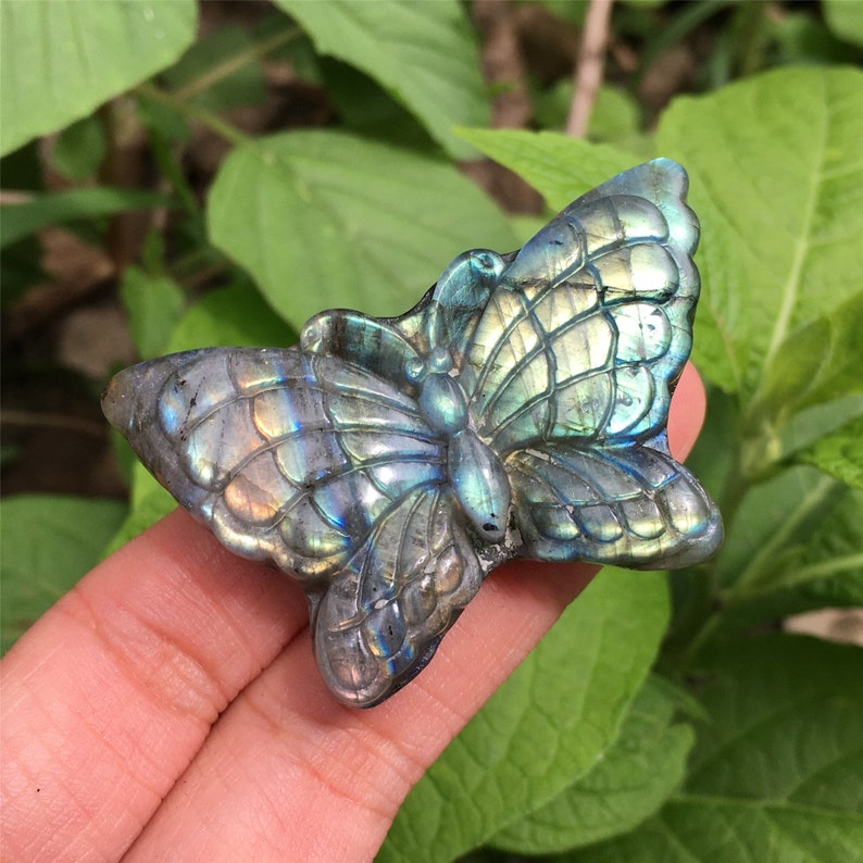 1PC Natural Labradorite Butterfly,Quartz Crystal Butterfly,Crystal Carved,Mineral samples,Home Decoration,Reiki healing,Crystal Gifts 15g+