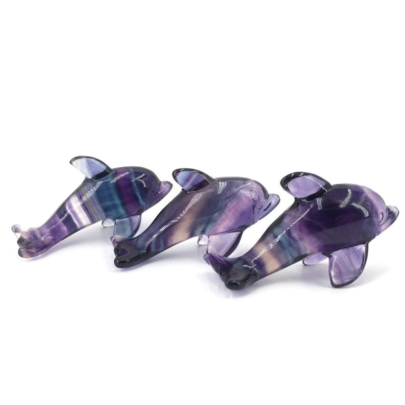 1PC Natural Fluorite Dolphin,Quartz Crystal Dolphin,Crystal Carved,Rock,Mineral Samples,Home Decoration,Reiki Healing,Crystal Gifts 30g+