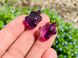 10PC Mini Natural Hand carved Fluorite sea turtle，Quartz Crystal carved，Crystal decor，Holiday present，Crystal ornament，Crystal healing