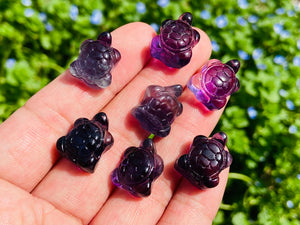 10PC Mini Natural Hand carved Fluorite sea turtle，Quartz Crystal carved，Crystal decor，Holiday present，Crystal ornament，Crystal healing