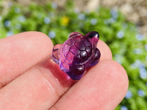 10PC Mini Natural Hand carved Fluorite sea turtle，Quartz Crystal carved，Crystal decor，Holiday present，Crystal ornament，Crystal healing
