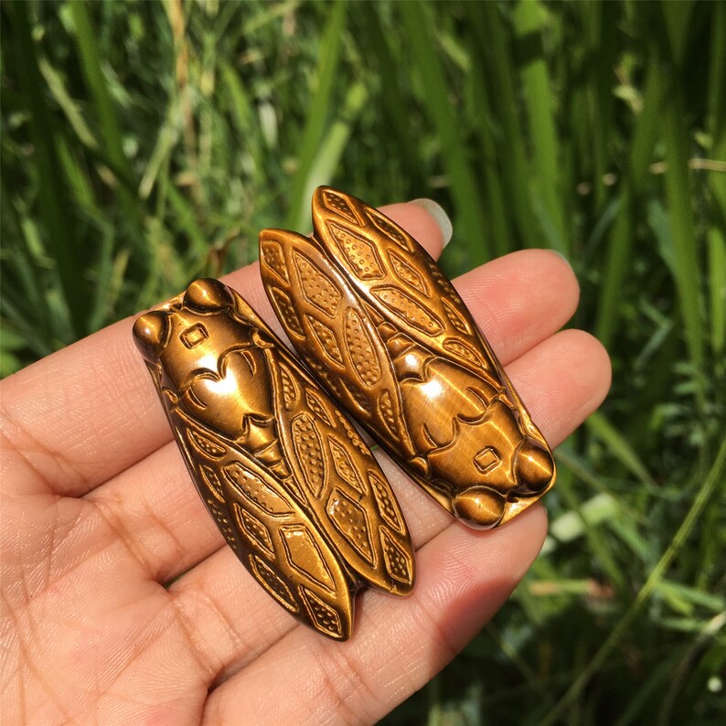 1PC Natural Tiger Eye Jasper Cicadas,Quartz Crystal Cicada,Crystal Carved,Mineral Specimen,Home Decoration,Reiki Healing,Crystal Gifts 18g+