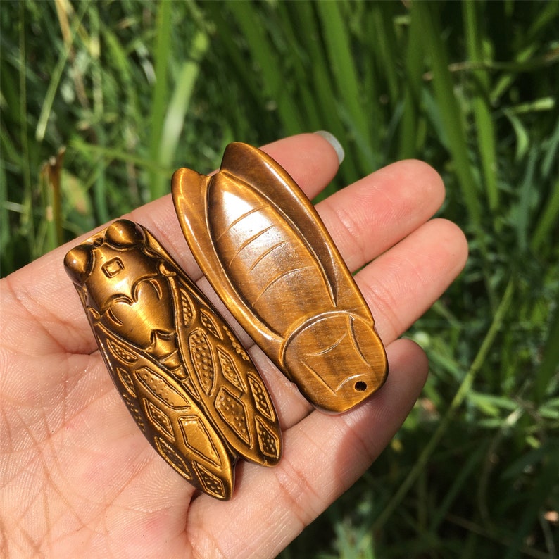 1PC Natural Tiger Eye Jasper Cicadas,Quartz Crystal Cicada,Crystal Carved,Mineral Specimen,Home Decoration,Reiki Healing,Crystal Gifts 18g+