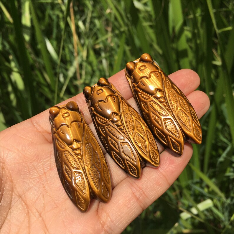 1PC Natural Tiger Eye Jasper Cicadas,Quartz Crystal Cicada,Crystal Carved,Mineral Specimen,Home Decoration,Reiki Healing,Crystal Gifts 18g+
