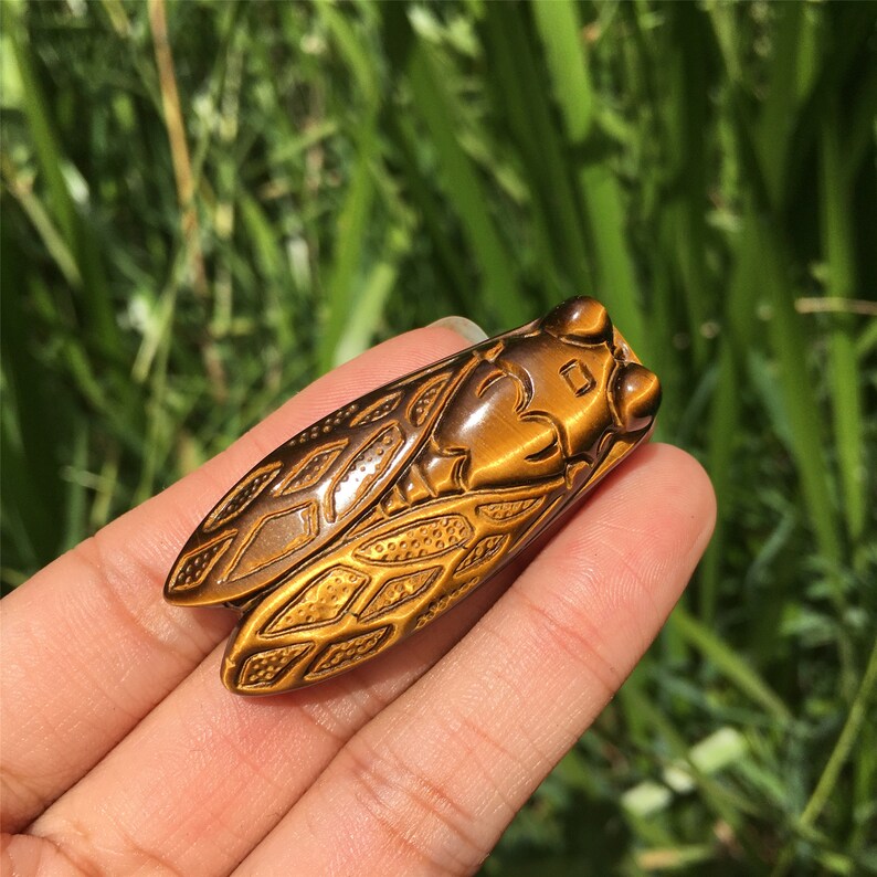 1PC Natural Tiger Eye Jasper Cicadas,Quartz Crystal Cicada,Crystal Carved,Mineral Specimen,Home Decoration,Reiki Healing,Crystal Gifts 18g+