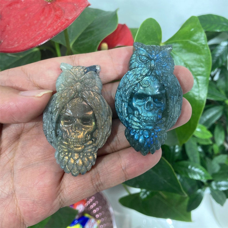 Natural Hand Labradorite Owl Skull Carved,Quartz Owl Carved Skull,Mineral Specimen,Crystal Gifts,Home Decoration,Crystal Reiki Healing