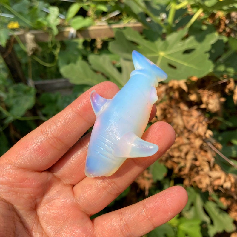 1PC 2" White Opalite Shark Carved,Quartz Crystal Shark Carved ,Crystal Heal,Home decoration,Crystal Sculpture,Mineral,Fish,Crystal Gifts