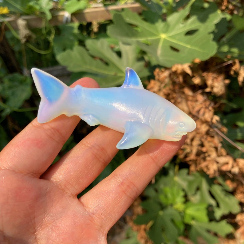 1PC 2" White Opalite Shark Carved,Quartz Crystal Shark Carved ,Crystal Heal,Home decoration,Crystal Sculpture,Mineral,Fish,Crystal Gifts