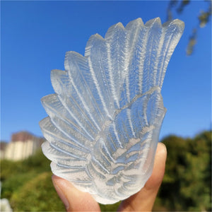 1PC Natural Selenite Wing,Quartz Crystal Wing,Mineral Samples,Selenite Animals,Crystal Gifts,Home Decoration,Reiki Healing 60g+