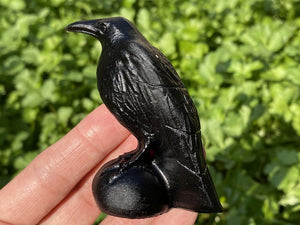 2.8'' Natural Hand Carved Obsidian Crow，Crystal Skull，crow Carved，crow Carving，Home Decor,Crystal Healing,Christmas gift 1PC