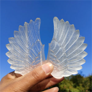 1PC Natural Selenite Wing,Quartz Crystal Wing,Mineral Samples,Selenite Animals,Crystal Gifts,Home Decoration,Reiki Healing 60g+
