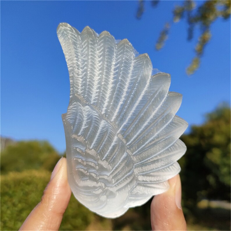 1PC Natural Selenite Wing,Quartz Crystal Wing,Mineral Samples,Selenite Animals,Crystal Gifts,Home Decoration,Reiki Healing 60g+