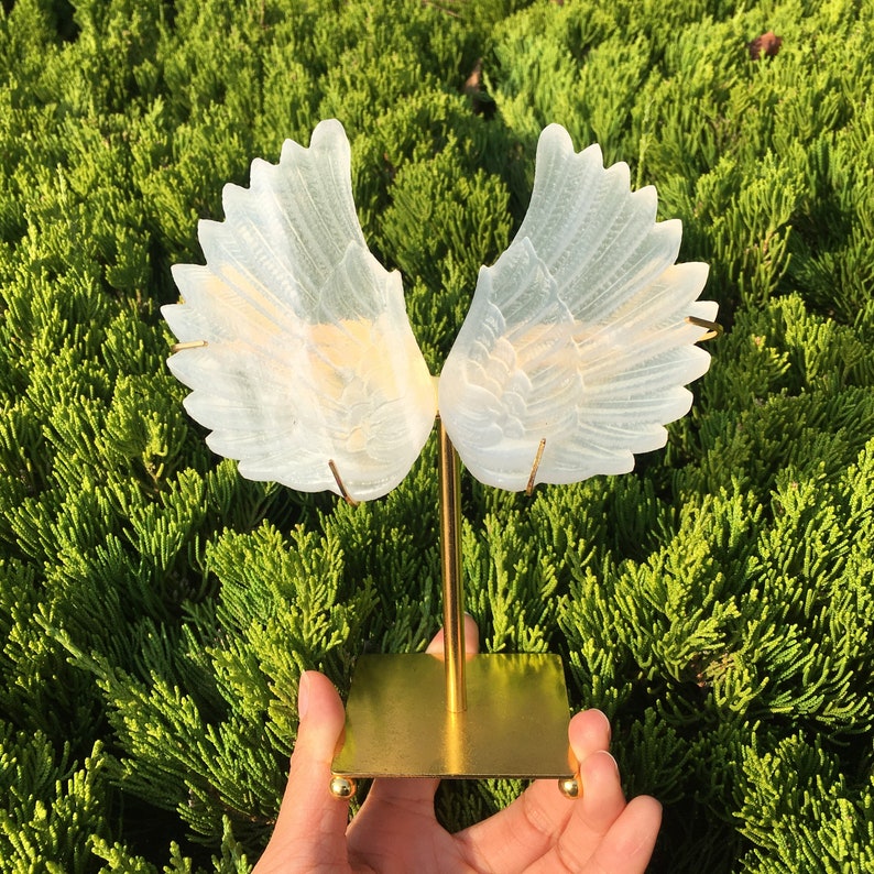 1PC Natural Selenite Wing,Quartz Crystal Wing,Mineral Samples,Selenite Animals,Crystal Gifts,Home Decoration,Reiki Healing 60g+
