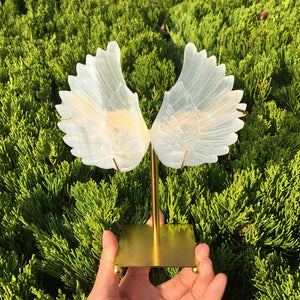 1PC Natural Selenite Wing,Quartz Crystal Wing,Mineral Samples,Selenite Animals,Crystal Gifts,Home Decoration,Reiki Healing 60g+