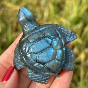 1PC Natural Labradorite Sea Turtle,Quartz Crystal Tortoise,Crystal Animal,Reiki Healing,Home Decoration,Crystal Gift,Mineral Specimen 50g+