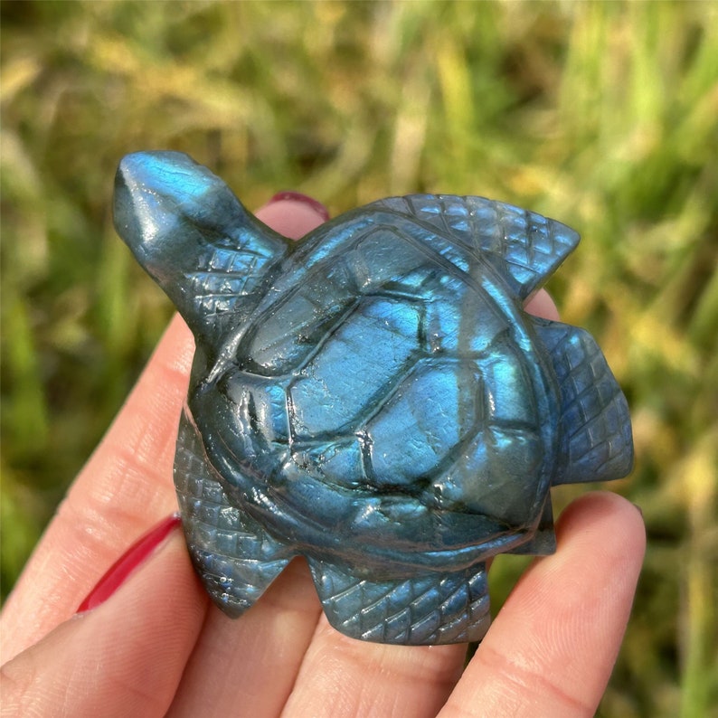 1PC Natural Labradorite Sea Turtle,Quartz Crystal Tortoise,Crystal Animal,Reiki Healing,Home Decoration,Crystal Gift,Mineral Specimen 50g+