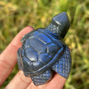1PC Natural Labradorite Sea Turtle,Quartz Crystal Tortoise,Crystal Animal,Reiki Healing,Home Decoration,Crystal Gift,Mineral Specimen 50g+