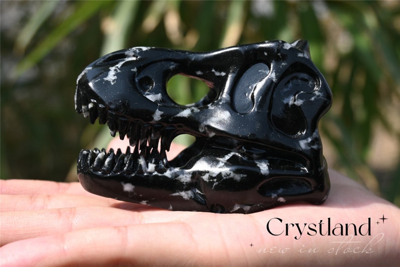 3'' Natural Snowflake Obsidian Carved tyrannosaurus Skull，Crystal Carved Dinosaur skull，Quartz crystal，Crystal healing skull 1PC