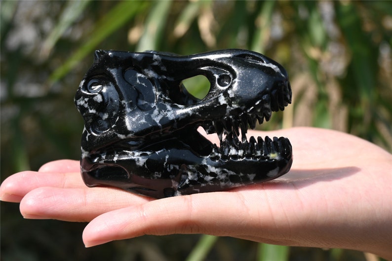 3'' Natural Snowflake Obsidian Carved tyrannosaurus Skull，Crystal Carved Dinosaur skull，Quartz crystal，Crystal healing skull 1PC