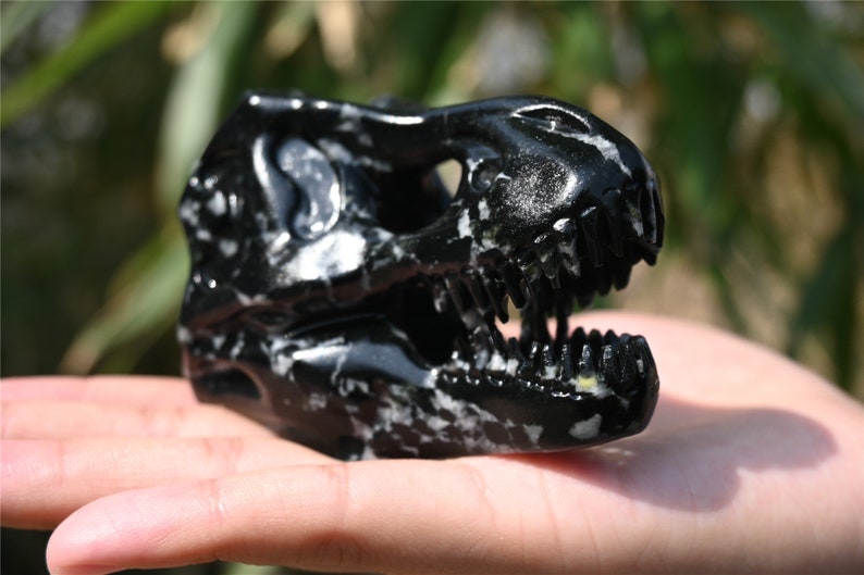3'' Natural Snowflake Obsidian Carved tyrannosaurus Skull，Crystal Carved Dinosaur skull，Quartz crystal，Crystal healing skull 1PC