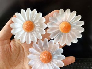 1PC Natural Selenite Little daisy,Quartz Crystal Flower,Mineral Little daisy,Stone,Crystal Gifts,Home Decoration,Reiki Healing 50g+
