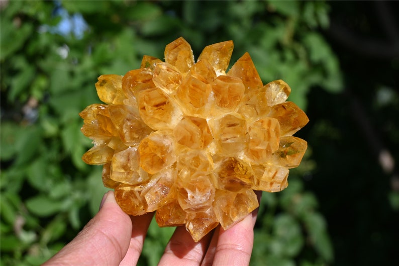 200G+ Citrine quartz Cluster Crystal，yellow Quartz Point VUG，Mineral Specimen Healing Degaussing Decor Collection 1PC