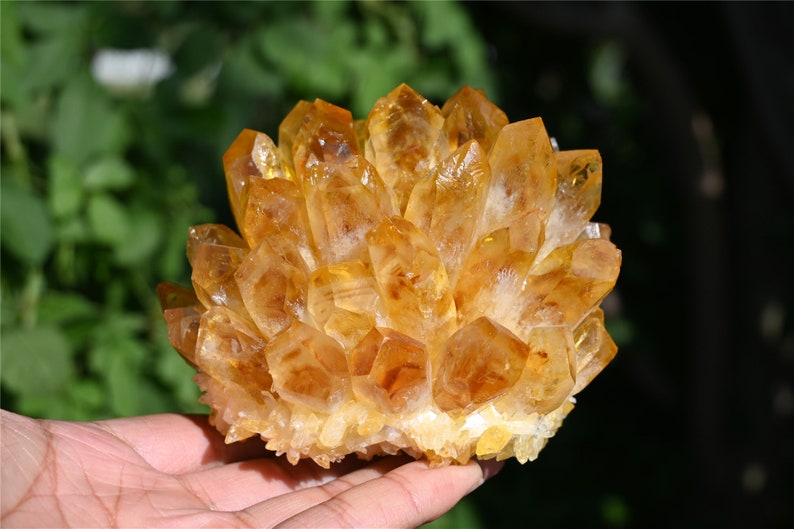 200G+ Citrine quartz Cluster Crystal，yellow Quartz Point VUG，Mineral Specimen Healing Degaussing Decor Collection 1PC