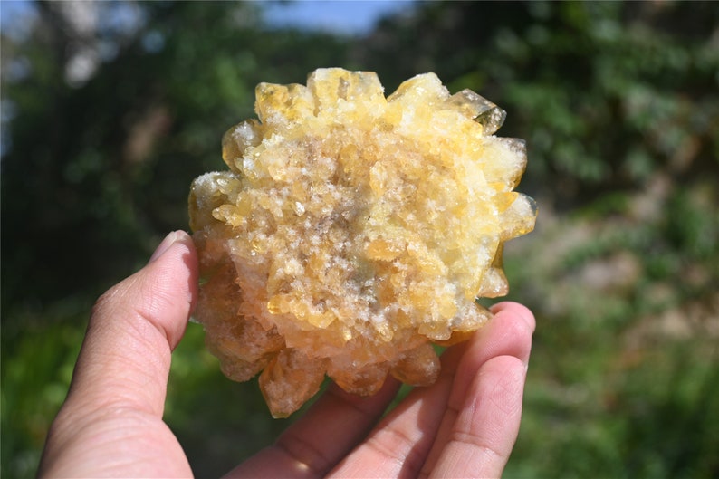 200G+ Citrine quartz Cluster Crystal，yellow Quartz Point VUG，Mineral Specimen Healing Degaussing Decor Collection 1PC