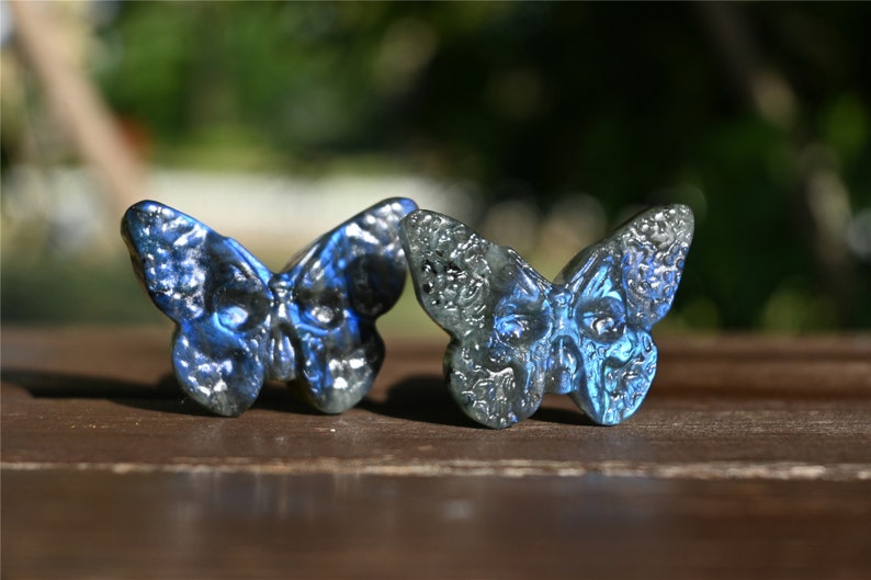 1.3'' Hand carved Natural LabradoriteButterfly skull , Quartz Crystal，Chakra Reiki healing，Crystal butterfly skull，Crystal gift ornament